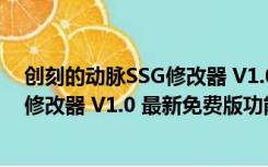 创刻的动脉SSG修改器 V1.0 最新免费版（创刻的动脉SSG修改器 V1.0 最新免费版功能简介）