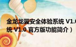 金龙龙翼安全体验系统 V1.0 官方版（金龙龙翼安全体验系统 V1.0 官方版功能简介）