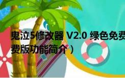 鬼泣5修改器 V2.0 绿色免费版（鬼泣5修改器 V2.0 绿色免费版功能简介）