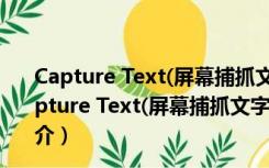 Capture Text(屏幕捕抓文字识别) V5.5.1 汉化破解版（Capture Text(屏幕捕抓文字识别) V5.5.1 汉化破解版功能简介）