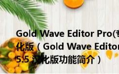 Gold Wave Editor Pro(专业级音频编辑软件) V10.5.5 汉化版（Gold Wave Editor Pro(专业级音频编辑软件) V10.5.5 汉化版功能简介）