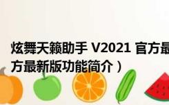 炫舞天籁助手 V2021 官方最新版（炫舞天籁助手 V2021 官方最新版功能简介）