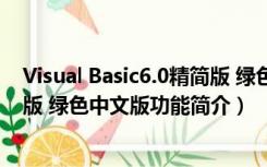 Visual Basic6.0精简版 绿色中文版（Visual Basic6.0精简版 绿色中文版功能简介）