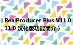 RealProducer Plus V11.0 汉化版（RealProducer Plus V11.0 汉化版功能简介）