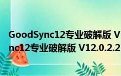 GoodSync12专业破解版 V12.0.2.2 中文免费版（GoodSync12专业破解版 V12.0.2.2 中文免费版功能简介）