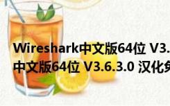 Wireshark中文版64位 V3.6.3.0 汉化免费版（Wireshark中文版64位 V3.6.3.0 汉化免费版功能简介）