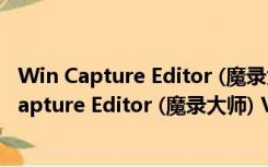 Win Capture Editor (魔录大师) V1.3 绿色免费版（Win Capture Editor (魔录大师) V1.3 绿色免费版功能简介）