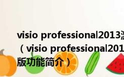 visio professional2013激活密钥注册机 V2.1 绿色免费版（visio professional2013激活密钥注册机 V2.1 绿色免费版功能简介）