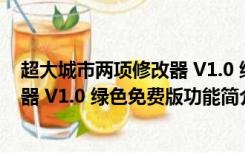 超大城市两项修改器 V1.0 绿色免费版（超大城市两项修改器 V1.0 绿色免费版功能简介）