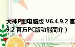 大神P图电脑版 V6.4.9.2 官方PC版（大神P图电脑版 V6.4.9.2 官方PC版功能简介）