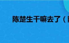 陈楚生干嘛去了（陈楚生为什么坐牢）