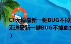 CF无道最新一键BUG不掉血文件 beta26 绿色免费版（CF无道最新一键BUG不掉血文件 beta26 绿色免费版功能简介）