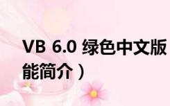 VB 6.0 绿色中文版（VB 6.0 绿色中文版功能简介）