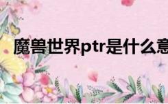 魔兽世界ptr是什么意思（ptr是什么意思）