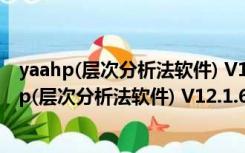 yaahp(层次分析法软件) V12.1.6916 免费无限制版（yaahp(层次分析法软件) V12.1.6916 免费无限制版功能简介）