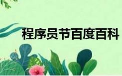 程序员节百度百科（程序员节怎么过）