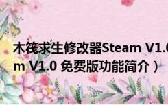 木筏求生修改器Steam V1.0 免费版（木筏求生修改器Steam V1.0 免费版功能简介）