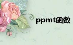 ppmt函数（pmt函数）