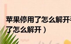 苹果停用了怎么解开手机不想刷机（苹果停用了怎么解开）