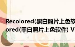 Recolored(黑白照片上色软件) V1.1.0 完美破解版（Recolored(黑白照片上色软件) V1.1.0 完美破解版功能简介）