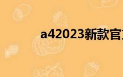 a42023新款官方图片（a420）