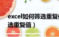 excel如何筛选重复值并删除（excel如何筛选重复值）