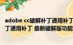 adobe cc破解补丁通用补丁 最新破解版（adobe cc破解补丁通用补丁 最新破解版功能简介）