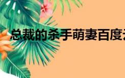 总裁的杀手萌妻百度云（总裁的杀手萌妻）