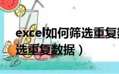 excel如何筛选重复数据类型（excel如何筛选重复数据）