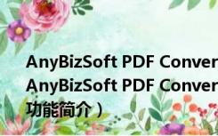 AnyBizSoft PDF Converter(PDF转换器) V2.0.0 破解版（AnyBizSoft PDF Converter(PDF转换器) V2.0.0 破解版功能简介）