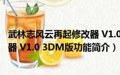 武林志风云再起修改器 V1.0 3DM版（武林志风云再起修改器 V1.0 3DM版功能简介）