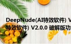 DeepNude(AI特效软件) V2.0.0 破解版（DeepNude(AI特效软件) V2.0.0 破解版功能简介）