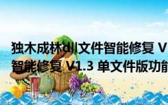 独木成林dll文件智能修复 V1.3 单文件版（独木成林dll文件智能修复 V1.3 单文件版功能简介）