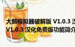 大鹅模拟器破解版 V1.0.3 汉化免费版（大鹅模拟器破解版 V1.0.3 汉化免费版功能简介）