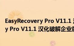 EasyRecovery Pro V11.1 汉化破解企业版（EasyRecovery Pro V11.1 汉化破解企业版功能简介）