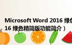 Microsoft Word 2016 绿色精简版（Microsoft Word 2016 绿色精简版功能简介）