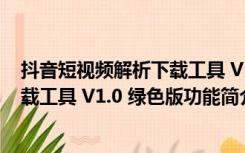 抖音短视频解析下载工具 V1.0 绿色版（抖音短视频解析下载工具 V1.0 绿色版功能简介）