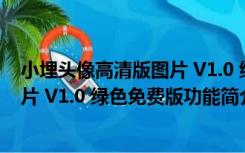 小埋头像高清版图片 V1.0 绿色免费版（小埋头像高清版图片 V1.0 绿色免费版功能简介）