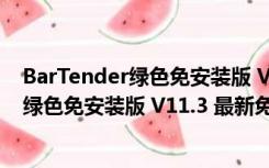 BarTender绿色免安装版 V11.3 最新免费版（BarTender绿色免安装版 V11.3 最新免费版功能简介）