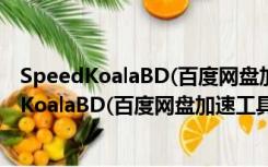 SpeedKoalaBD(百度网盘加速工具) V7.1 免费版（SpeedKoalaBD(百度网盘加速工具) V7.1 免费版功能简介）