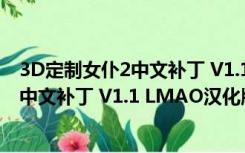 3D定制女仆2中文补丁 V1.1 LMAO汉化版（3D定制女仆2中文补丁 V1.1 LMAO汉化版功能简介）