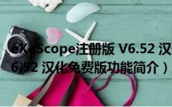 eXeScope注册版 V6.52 汉化免费版（eXeScope注册版 V6.52 汉化免费版功能简介）