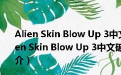 Alien Skin Blow Up 3中文破解版 V3.1.3 最新免费版（Alien Skin Blow Up 3中文破解版 V3.1.3 最新免费版功能简介）