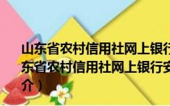 山东省农村信用社网上银行安全控件 V2.3.9.11 官方版（山东省农村信用社网上银行安全控件 V2.3.9.11 官方版功能简介）