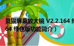 灵猫屏幕放大镜 V2.2.164 绿色版（灵猫屏幕放大镜 V2.2.164 绿色版功能简介）