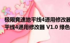 极限竞速地平线4通用修改器 V1.0 绿色免费版（极限竞速地平线4通用修改器 V1.0 绿色免费版功能简介）