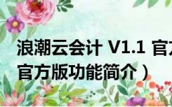 浪潮云会计 V1.1 官方版（浪潮云会计 V1.1 官方版功能简介）