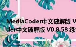 MediaCoder中文破解版 V0.8.58 绿色免费版（MediaCoder中文破解版 V0.8.58 绿色免费版功能简介）