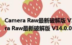 Camera Raw最新破解版 V14.0.0.950 中文免费版（Camera Raw最新破解版 V14.0.0.950 中文免费版功能简介）