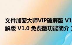 文件加密大师VIP破解版 V1.0 免费版（文件加密大师VIP破解版 V1.0 免费版功能简介）